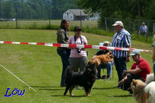 19.5.2019 - Warten im Ring